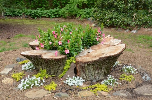 beautiful decoration tree trunk flowers pink