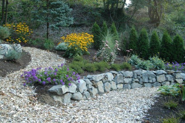 beautiful garden view flowers