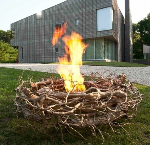 bowl cup bowl fire exterior nest branch tree grass house-modern