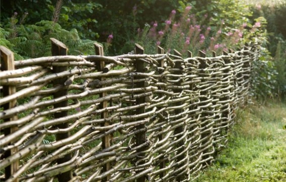 garden border wicker branches