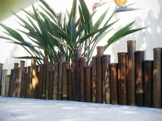 bamboo garden border