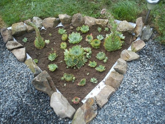 garden border natural stones