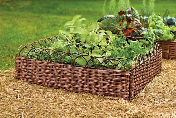 wicker garden border braided branches