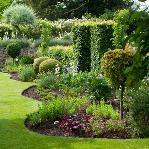 garden borders plants