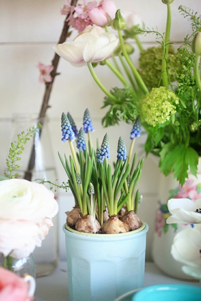 bouquet flowers hyacinths