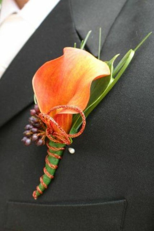 buttonhole orange flower interesting