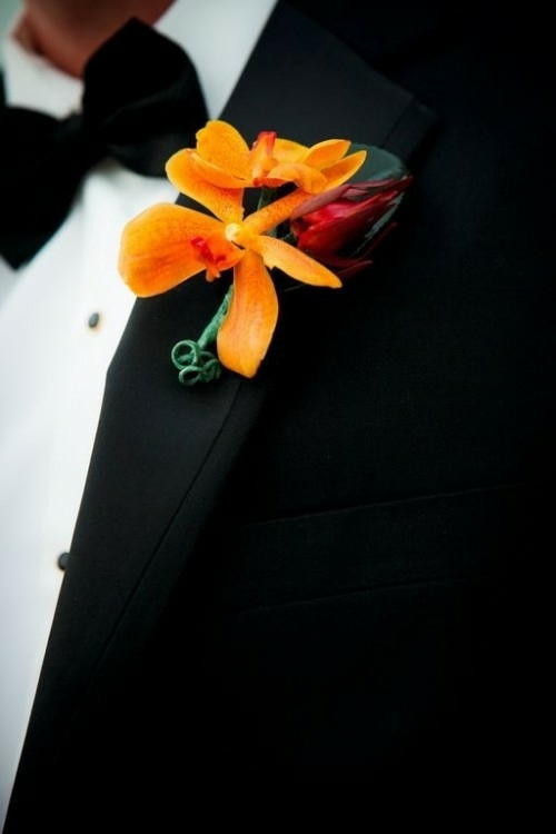 red orange buttonhole