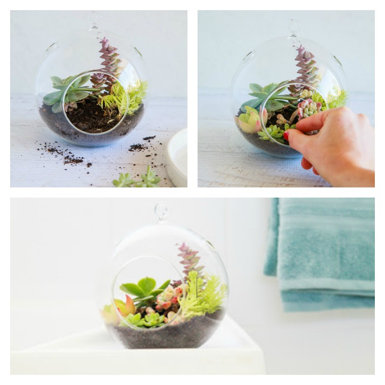 aktiviti natal membuat terrarium asal