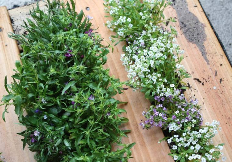 ide DIY planter palle udendørs naturlige dekoration paller