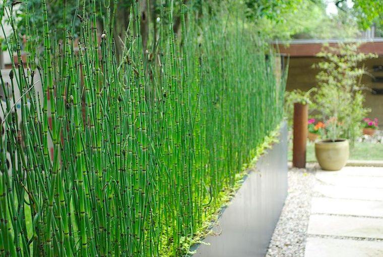 breeze-view garden-hedge bamboo-to-house