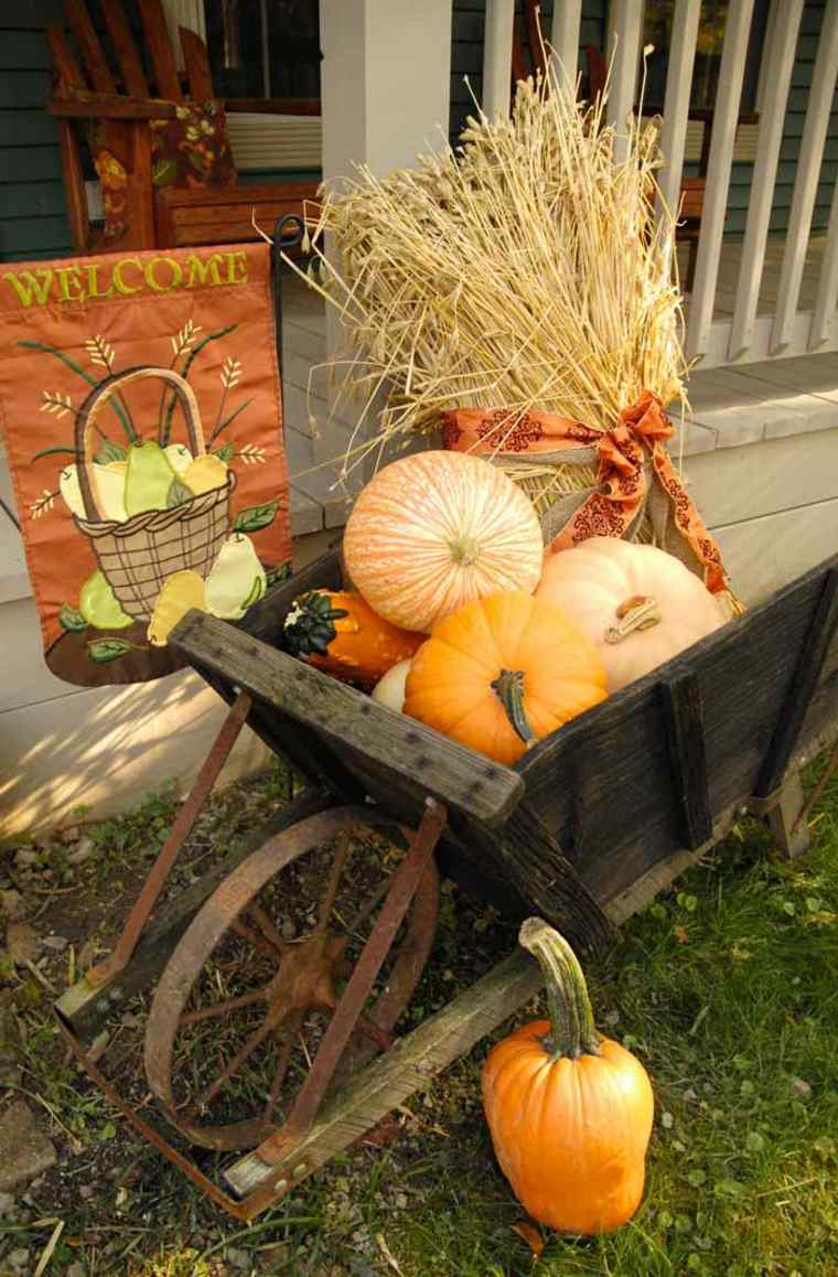 activity autumn decorate idea pumpkin autumn outdoors