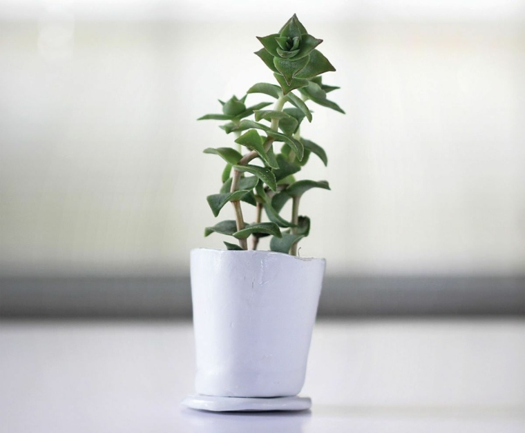 julegave ide plante pot custom