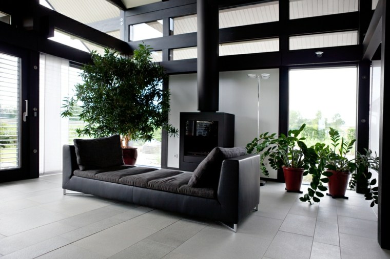 living room modern interior design sofa black cushions decoration plants