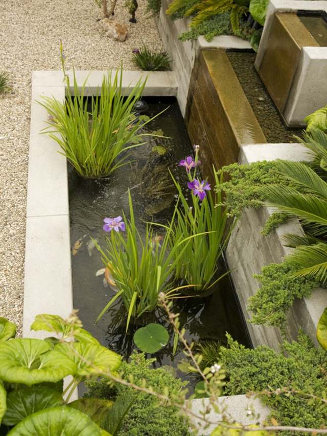 waterfall'eau plantes vertes déco