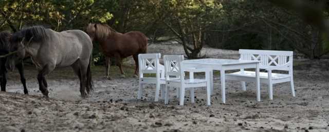 outdoor furniture idea original wooden chair wooden bench white wood table