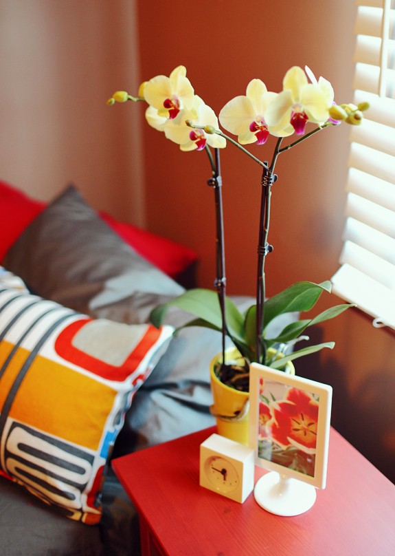 bedroom table night red orchids yellow