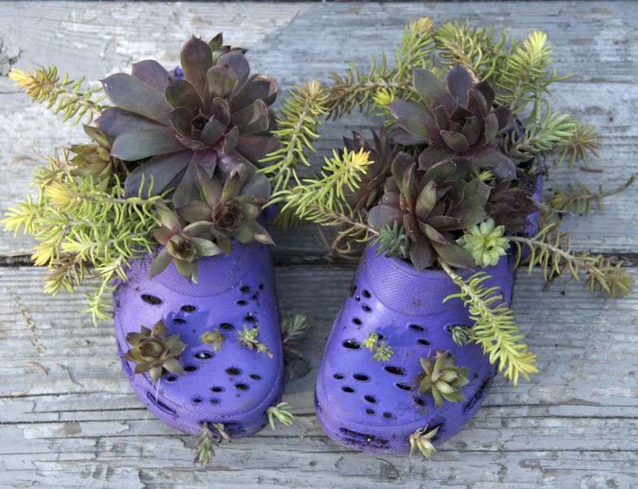 green flowers shoes pots terrace deco