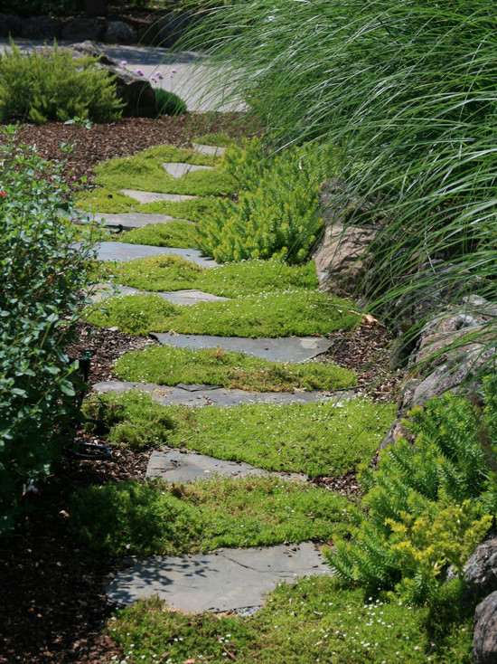 elegant garden path