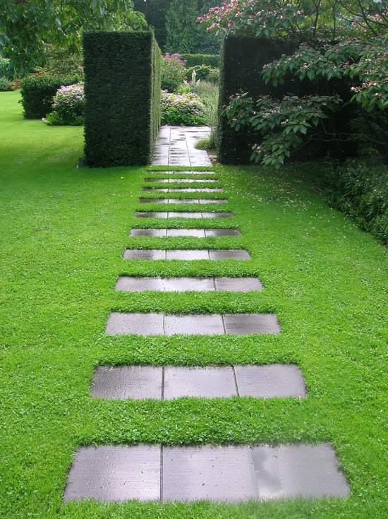 path defined green courtyard