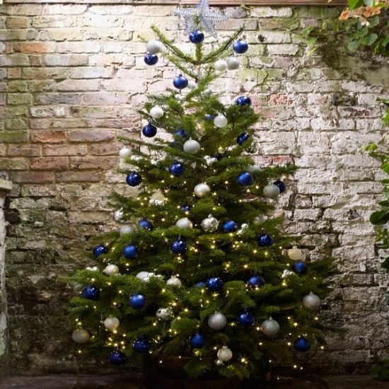 choose Christmas fir-spruce-blue-balls-blue-silver-elegant