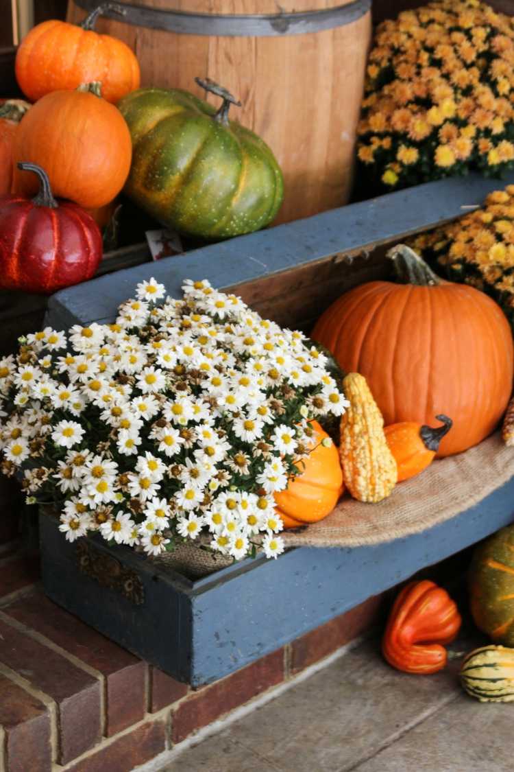 gresskar halloween dekorasjon utendørs idé