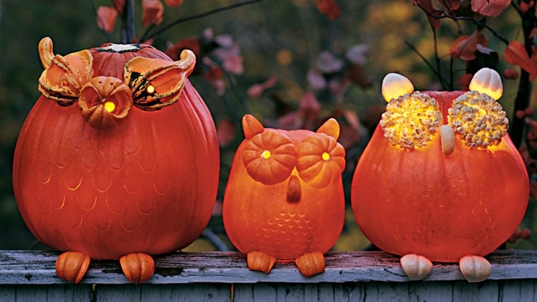 pumpkin original idea decoration owl bezel