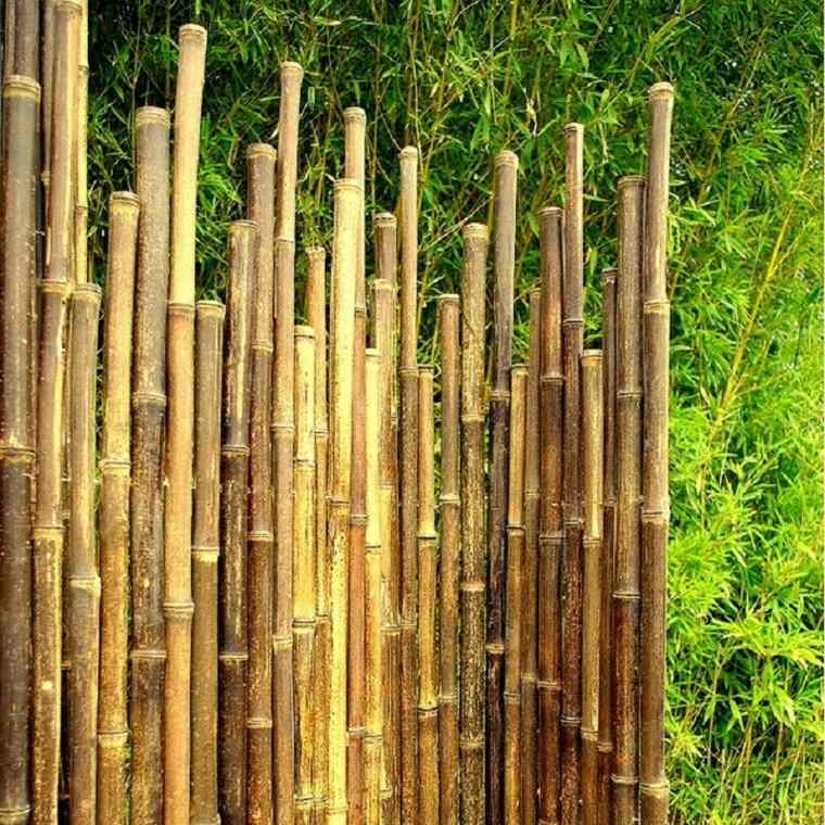 garden fencing bamboo original idea modern design plants