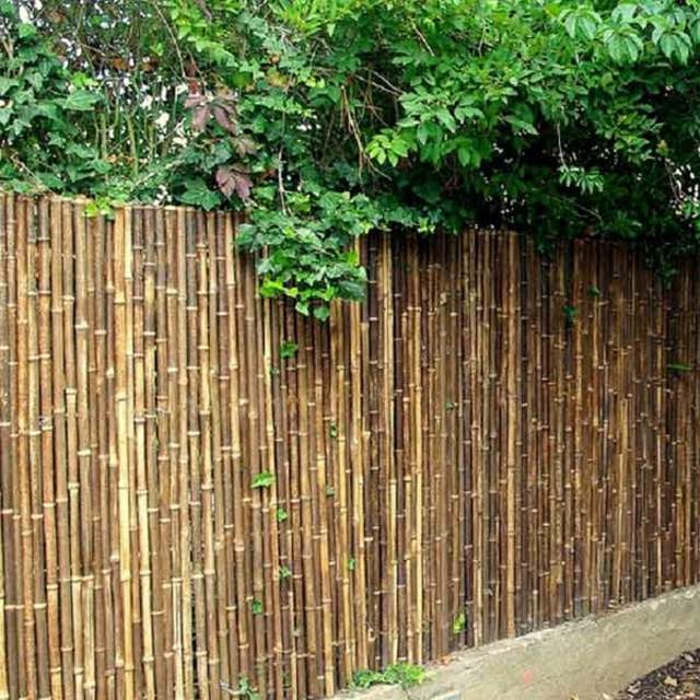 Tozi black bamboo fencing