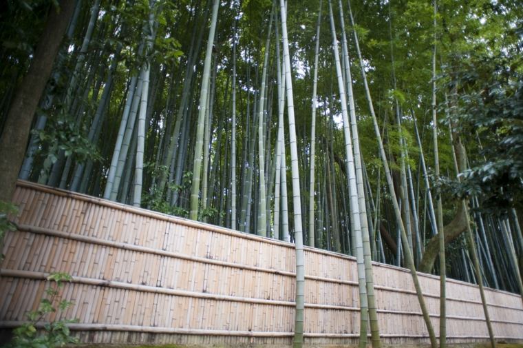 bamboo garden fence modern outdoor idea