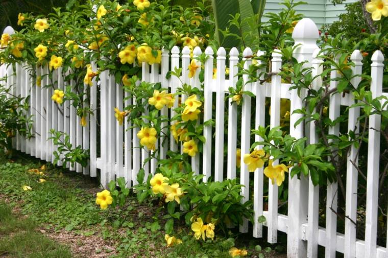 white wooden fence idea outdoor garden fence