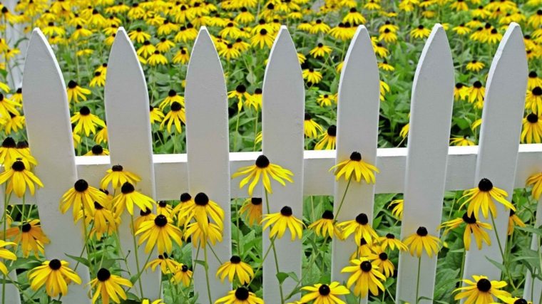 fence wood garden white deco idea outside