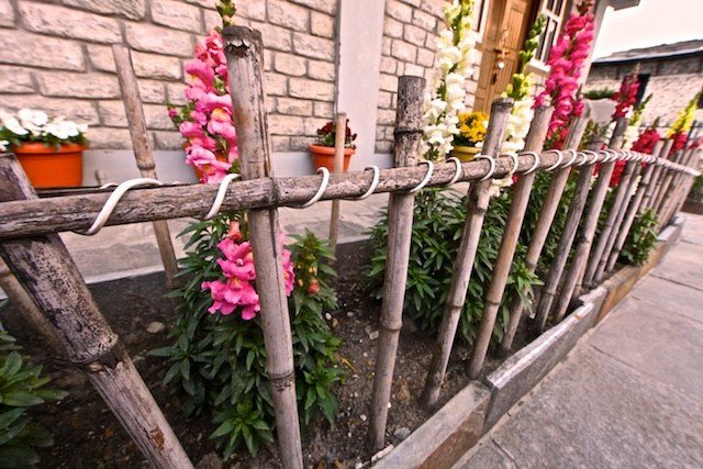 wooden garden fence fence his garden