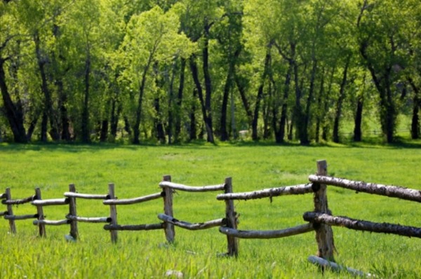 rough rustic wooden fence