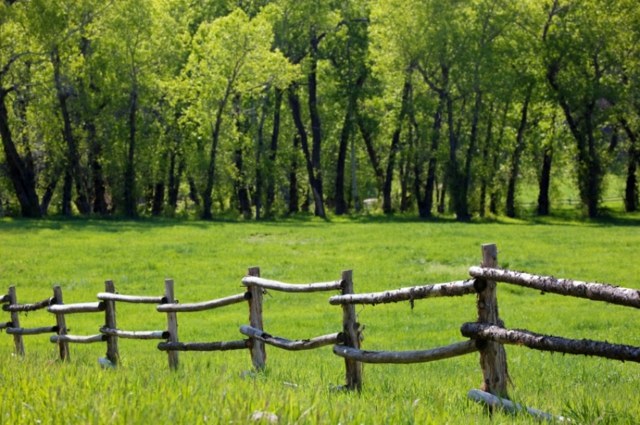 rustic wood fence ranch style