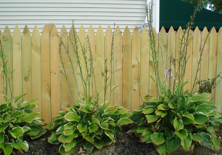 idea fence garden outdoor wood landscaping