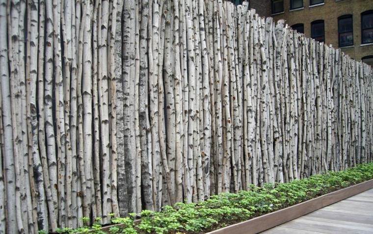 idea garden tree fence garden birch evergreen