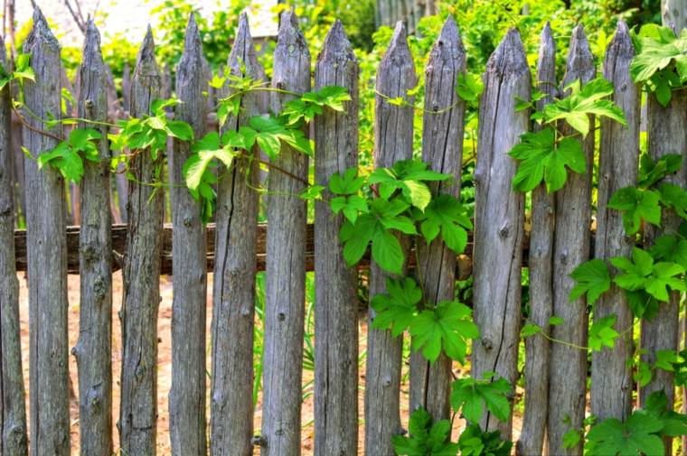 garden fence idea wood exterior screening