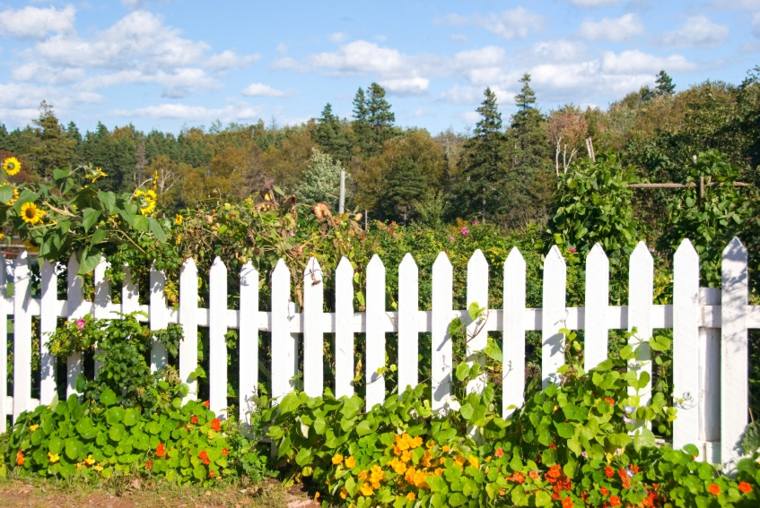 garden fence white wood classic flowers