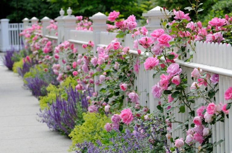 garden fence decorated with pink flowers