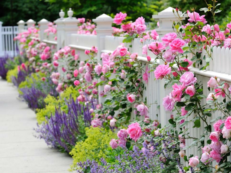 pretty garden deco flowers palisades