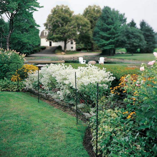 garden landscaping fence its garden