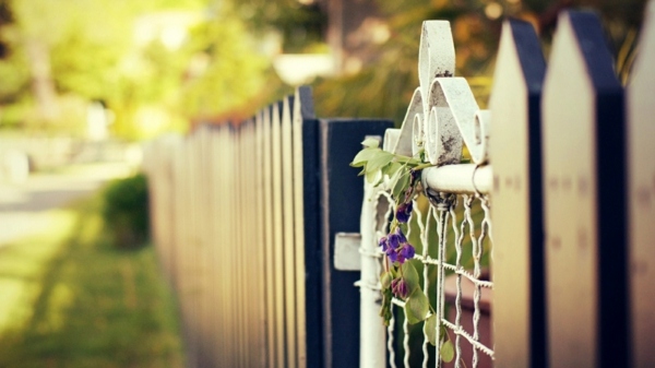 garden fence and modern house