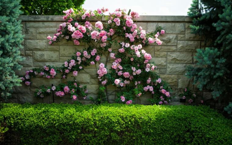 garden fence deco flower roses