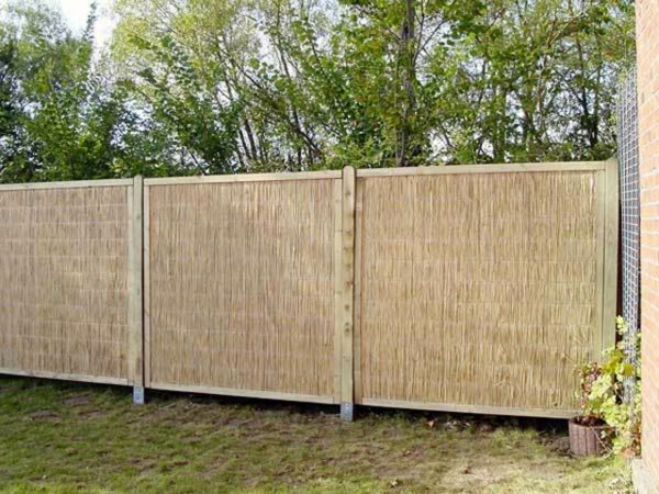 garden fence reed panels