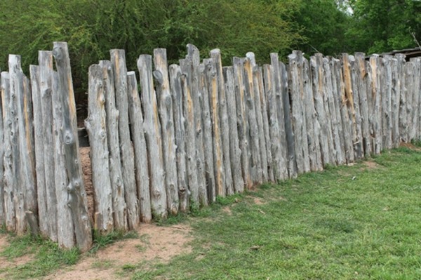 garden fence rough trunks