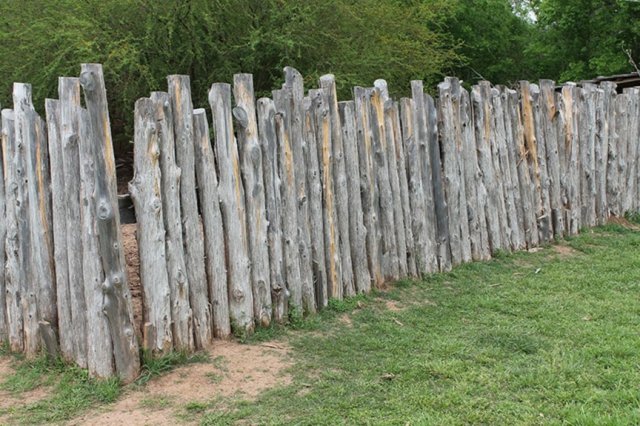 garden fence buried trunks