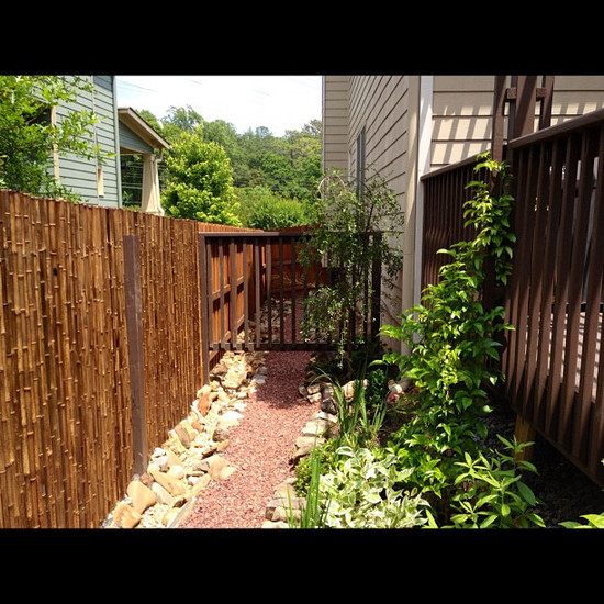 bamboo fence design