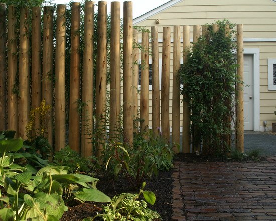 thick bamboo fence