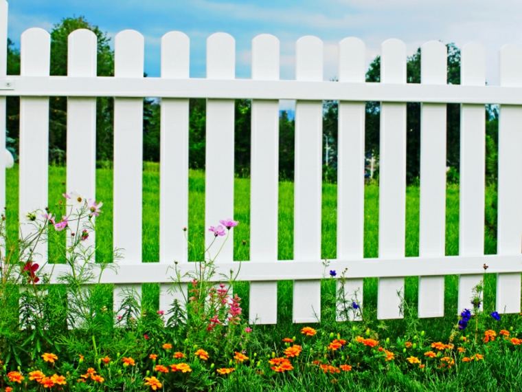 fence garden idea landscaping outdoors modern trend