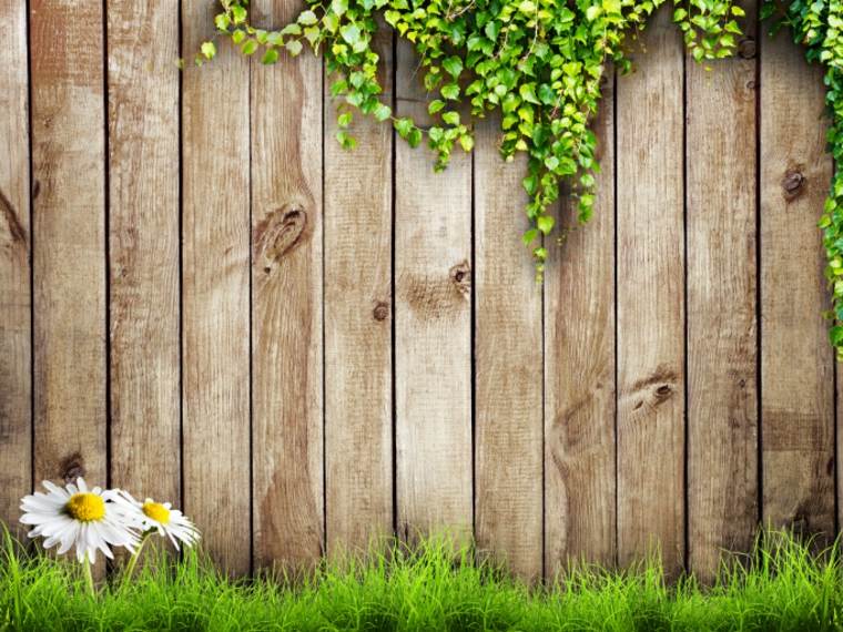 garden fence wooden idea exterior arrangement wood original